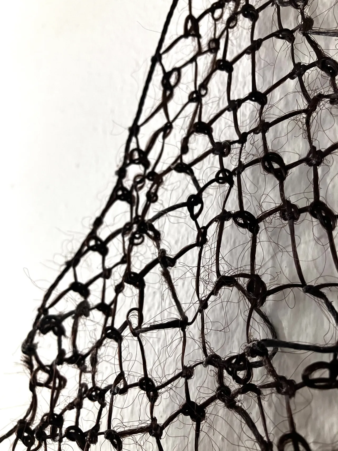 Net, Something to Hold - Net, Something to Hold - Hair - 2025